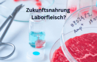 Zukunftsnahrung Laborfleisch? | Von Ernst Wolff