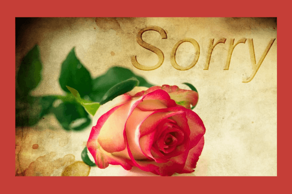 Die Kunst des Verzeihens: Warum es so wichtig ist, auch in der Liebe Fehler zu machen