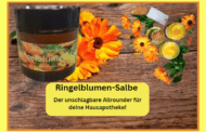 Ringelblumen-Salbe: Die natürliche Wunderwaffe gegen Hautprobleme!