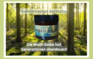 Kraft der Natur: Wie unsere HeilPower-Wald-Salbe nach einem alten Rezept wahre Wunder vollbringt