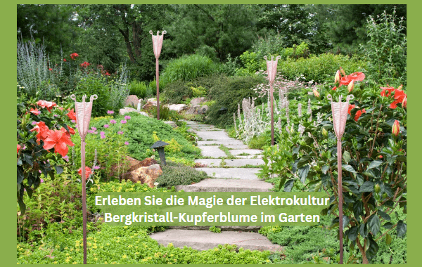 Erleben Sie die Magie der Elektrokultur: Bergkristall-Kupferblume im Garten