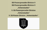 Interview mit Reinholt S., Veteran der SS-Elitedivision Hohenstaufen, SS-Panzer Grenadier Regiment 20.